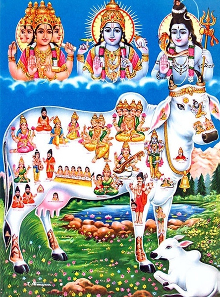 Gau Beej mantra Japa Vidhan