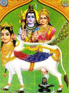 Gau Gayatri Japa Vidhan